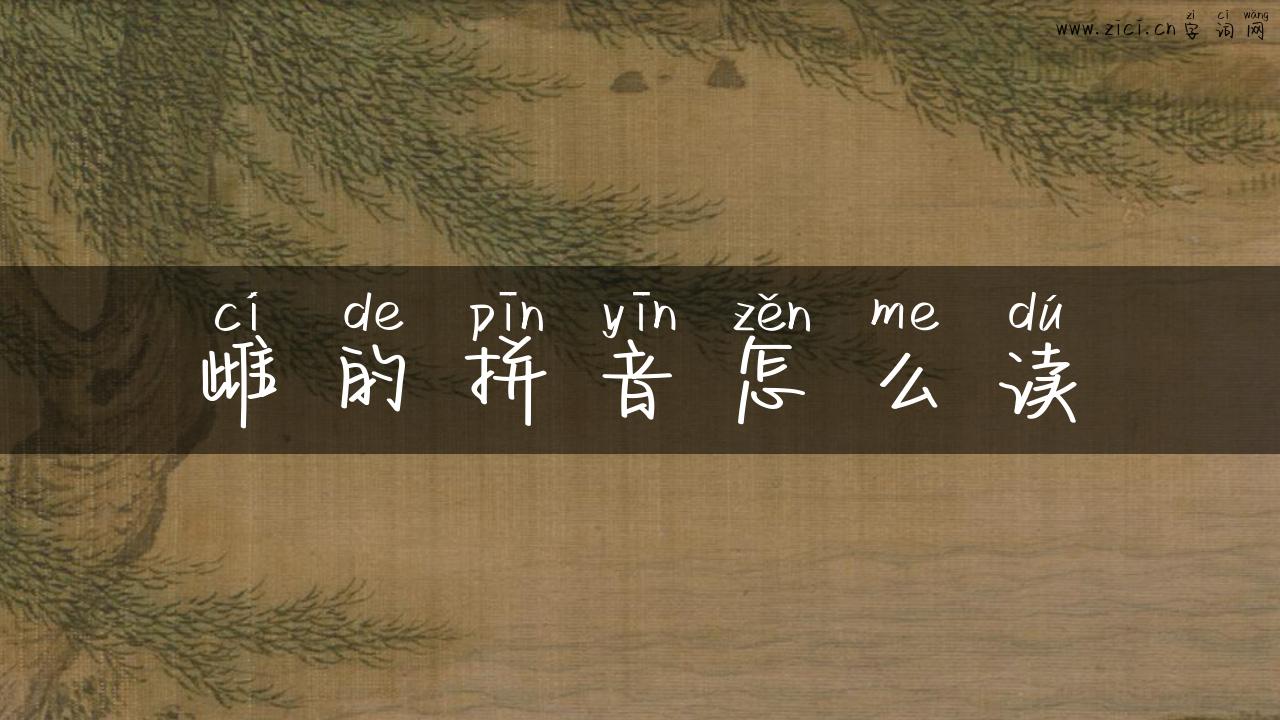雌的拼音怎么读