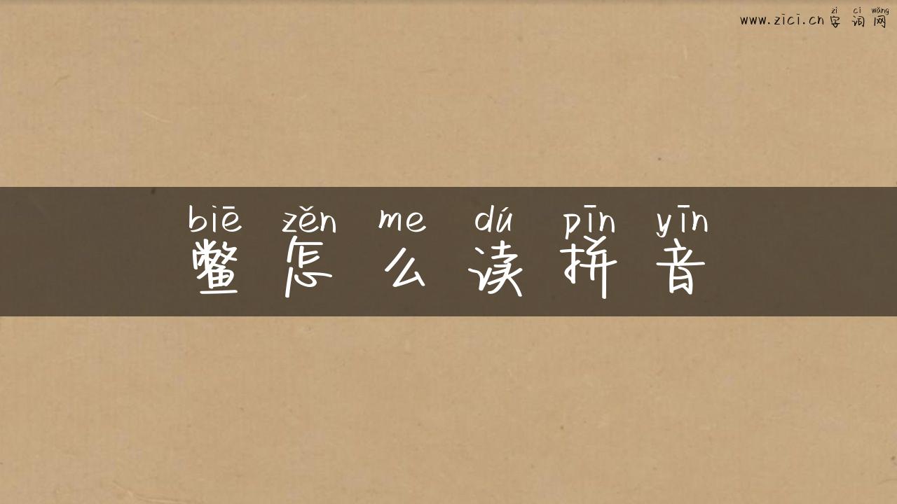 鳖怎么读拼音
