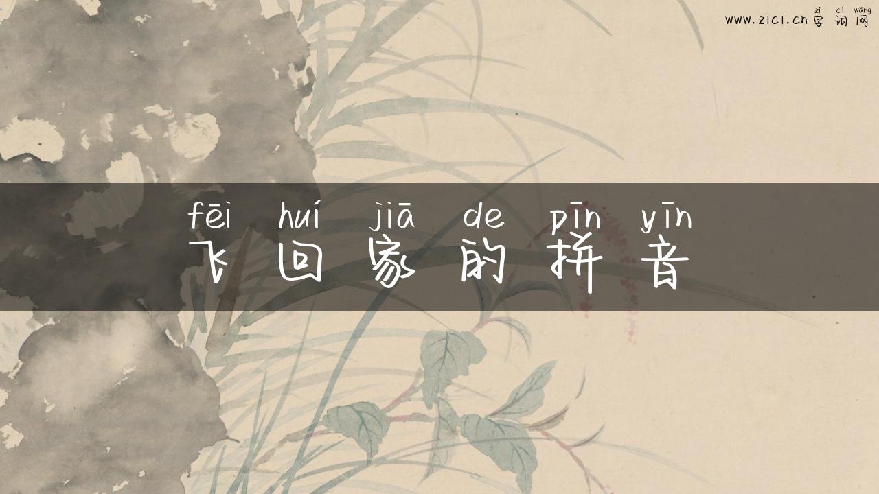 飞回家的拼音