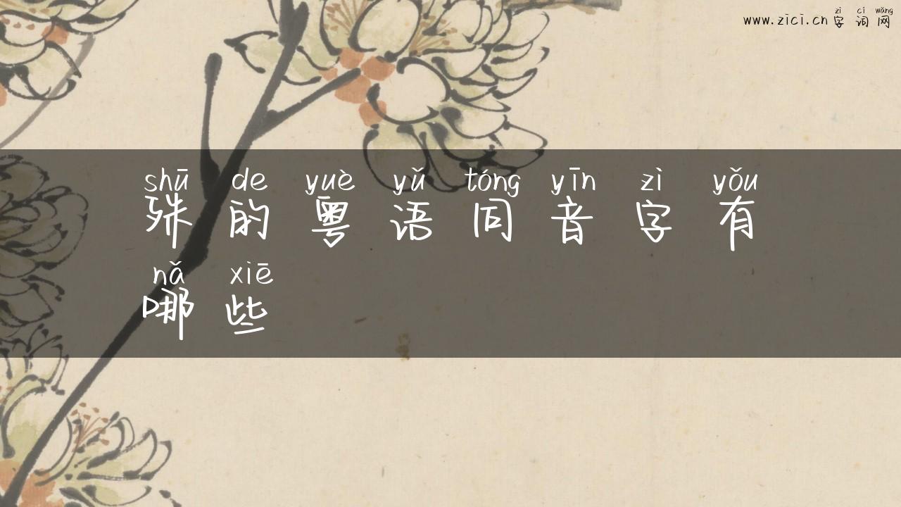 殊的粤语同音字有哪些