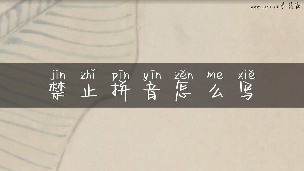 禁止拼音怎么写