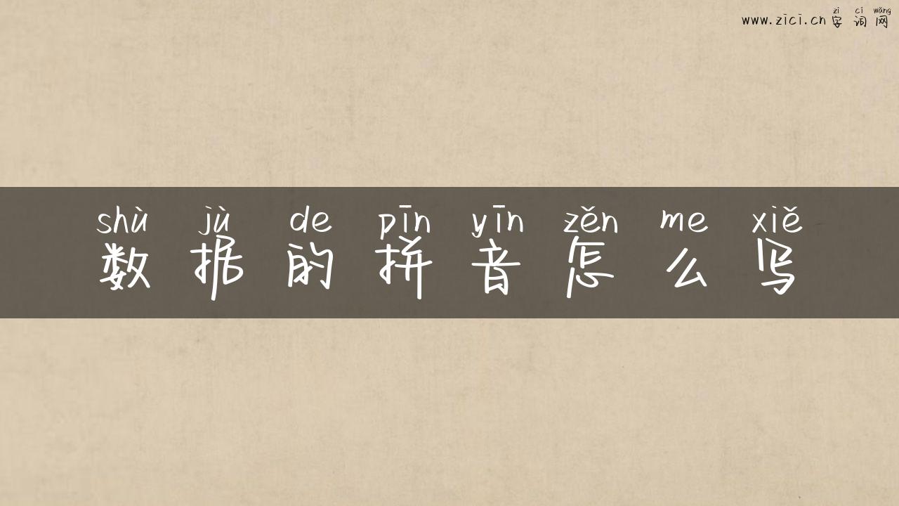数据的拼音怎么写