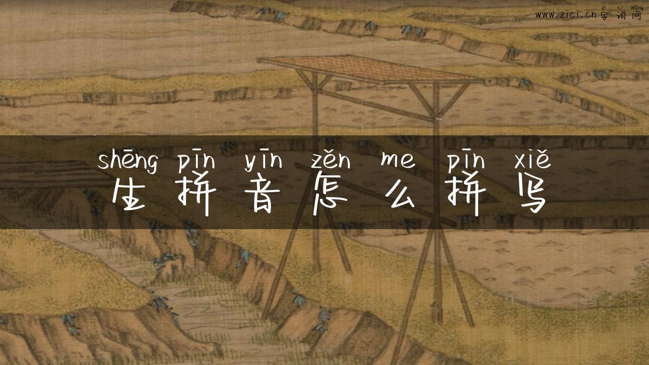 生拼音怎么拼写