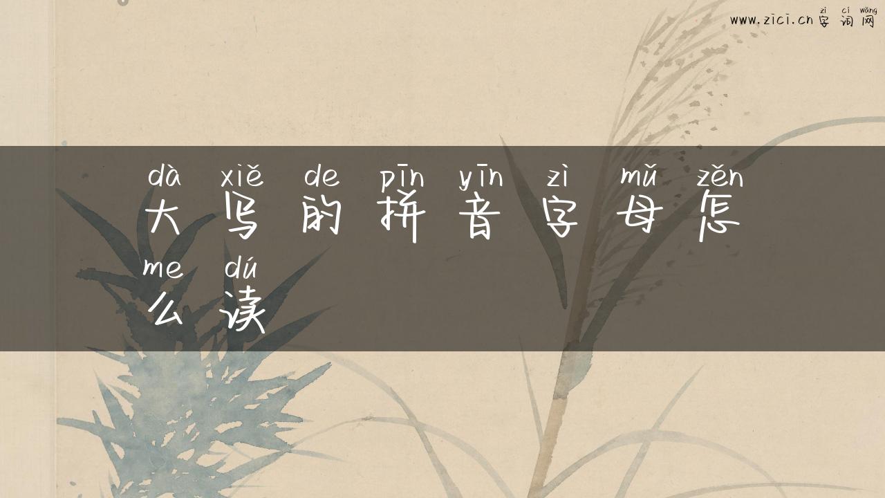 大写的拼音字母怎么读