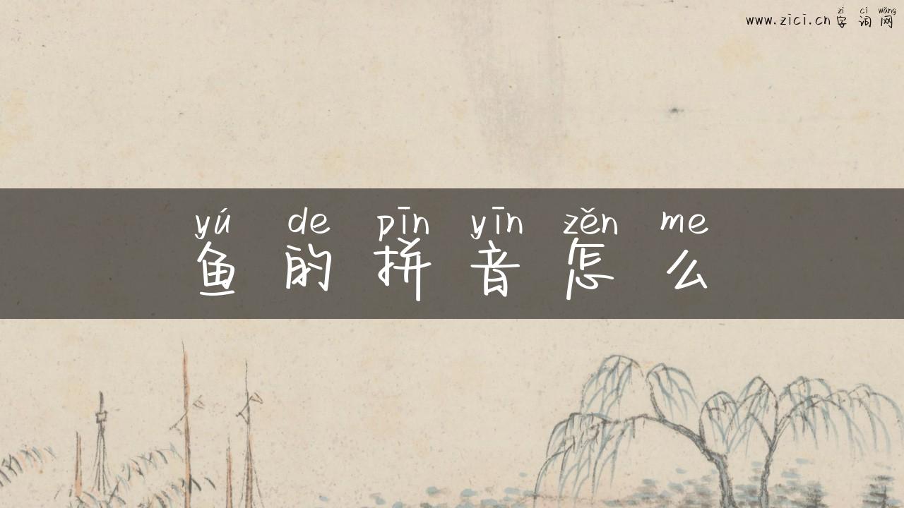 鱼的拼音怎么