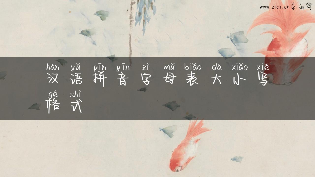 汉语拼音字母表大小写格式