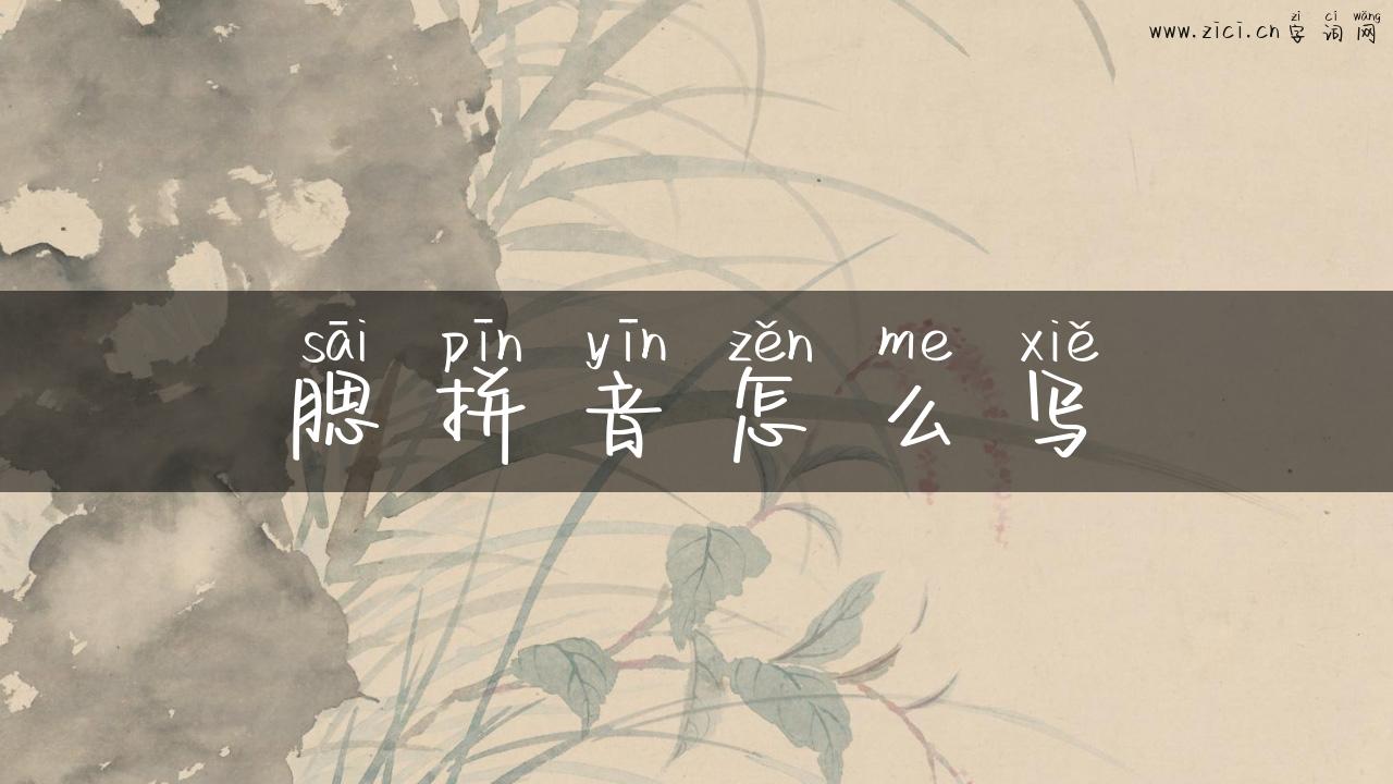 腮拼音怎么写