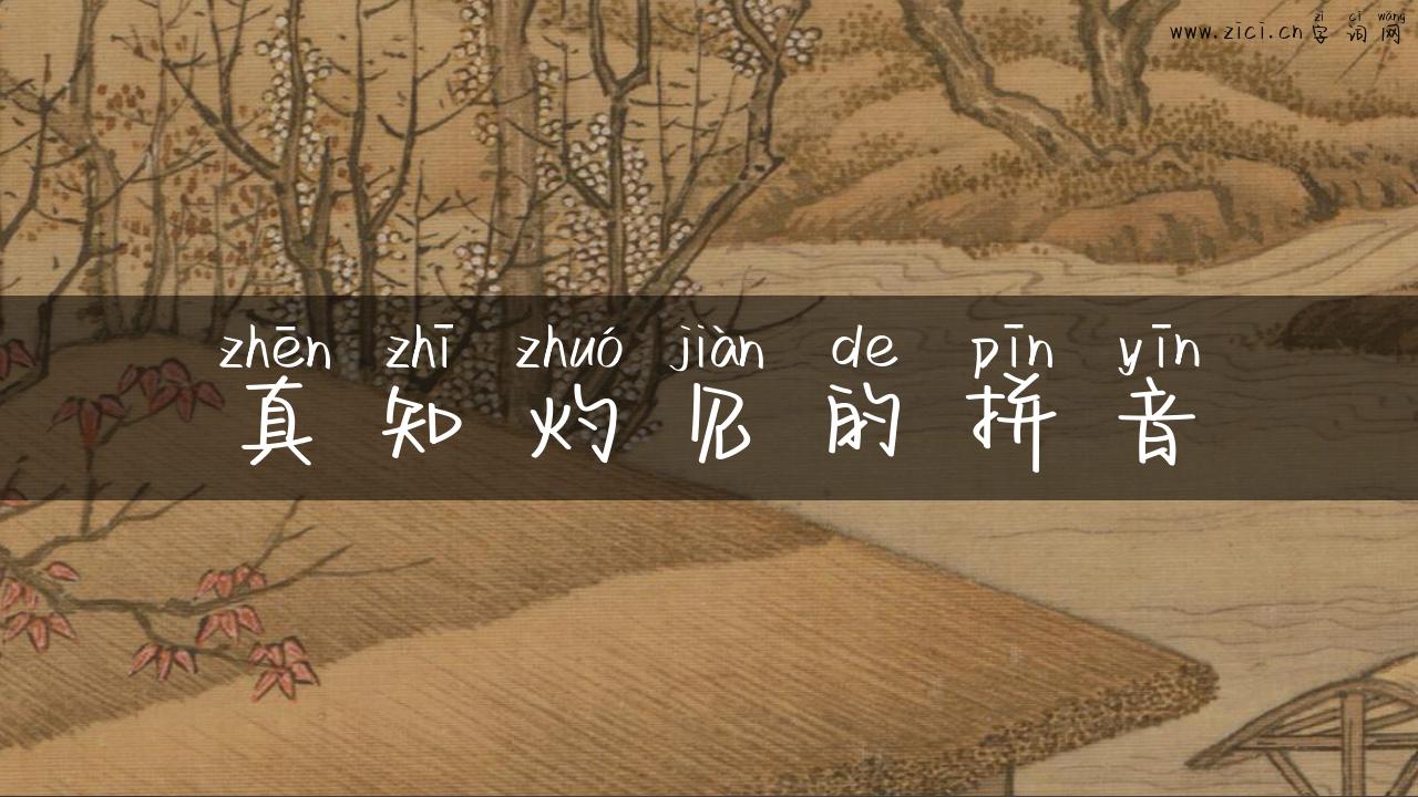 真知灼见的拼音