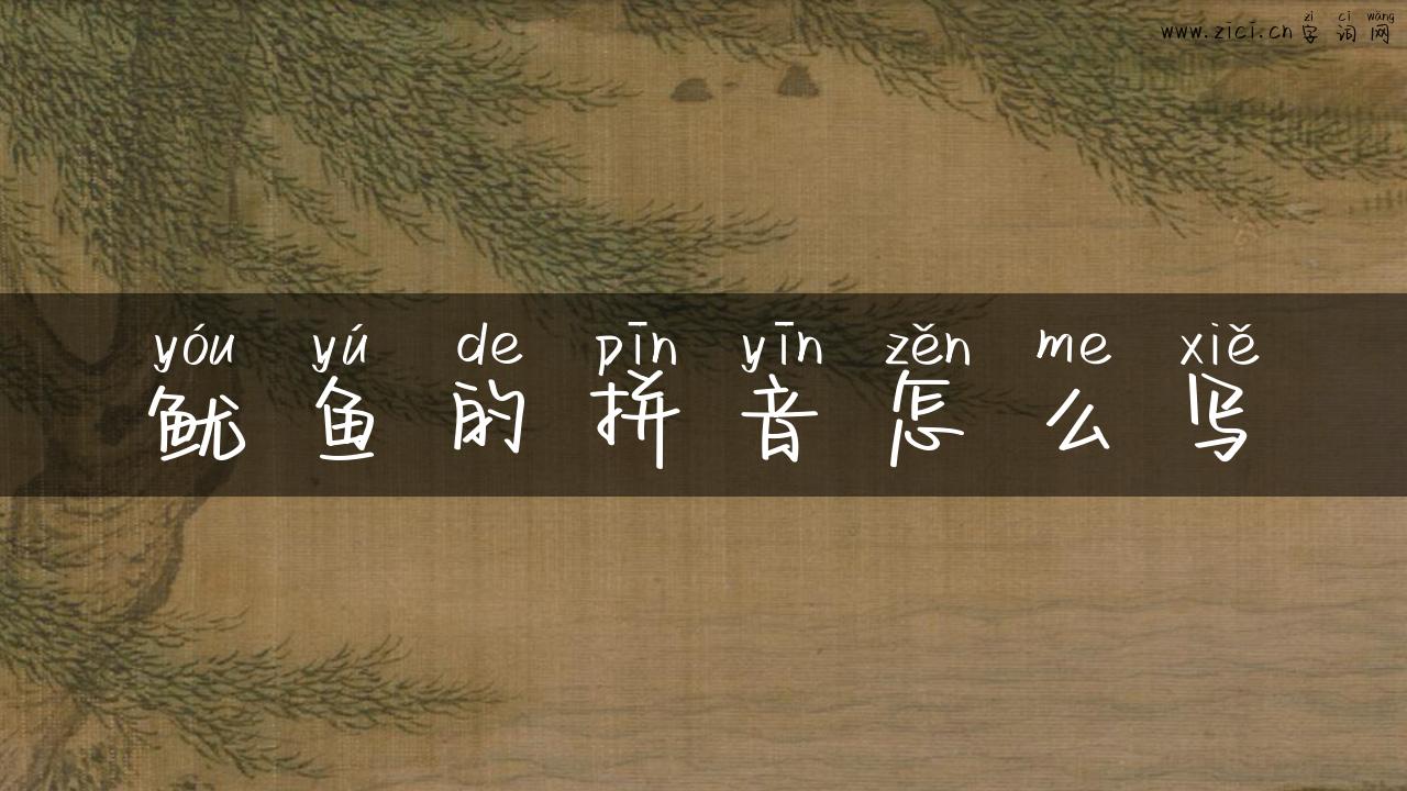 鱿鱼的拼音怎么写