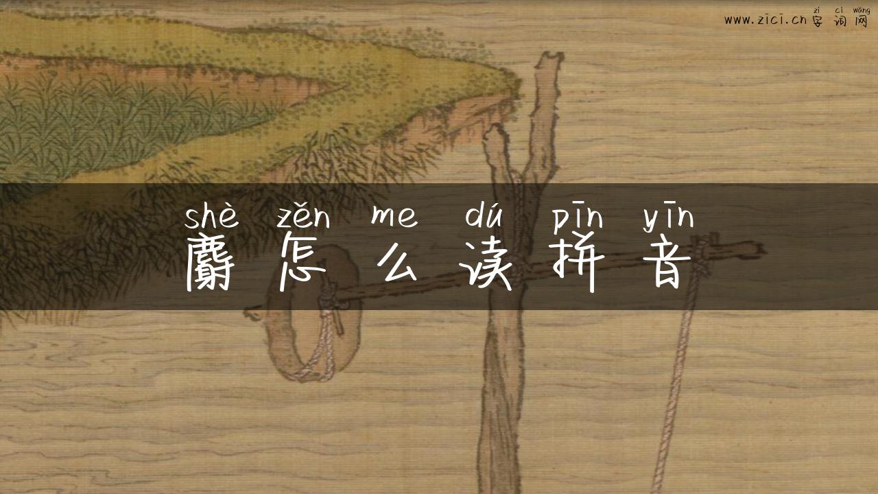 麝怎么读拼音