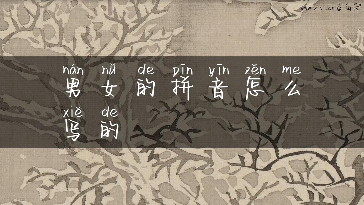 男女的拼音怎么写的