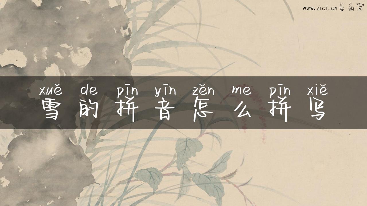雪的拼音怎么拼写