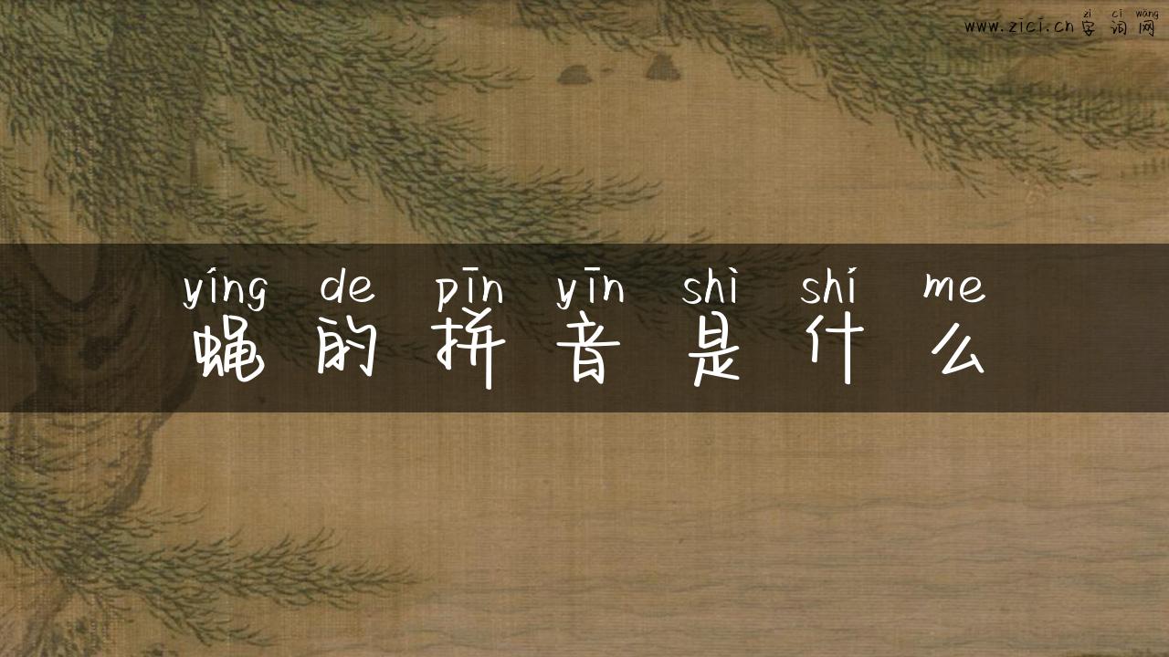 蝇的拼音是什么