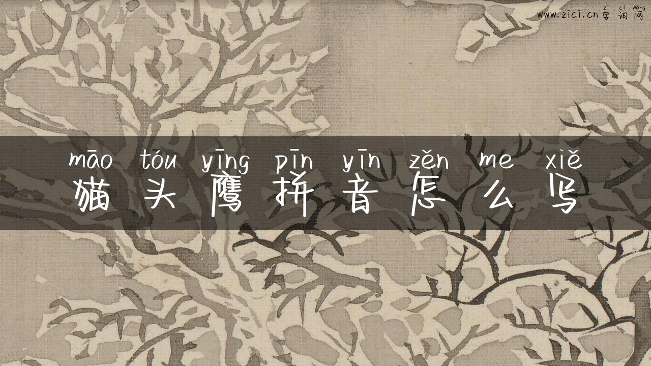 猫头鹰拼音怎么写