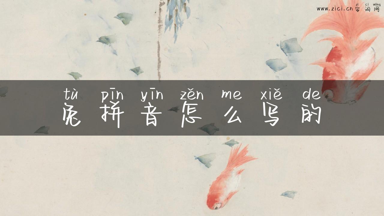 兔拼音怎么写的