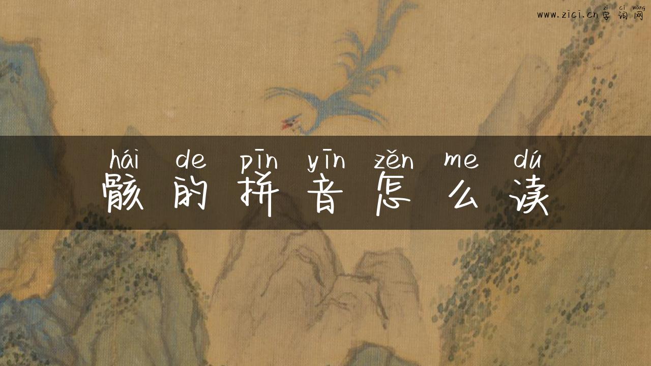 骸的拼音怎么读