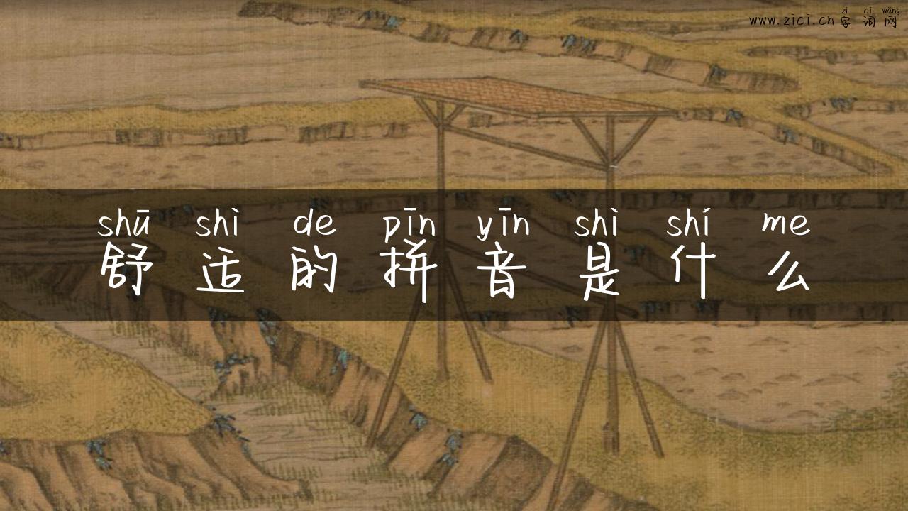 舒适的拼音是什么