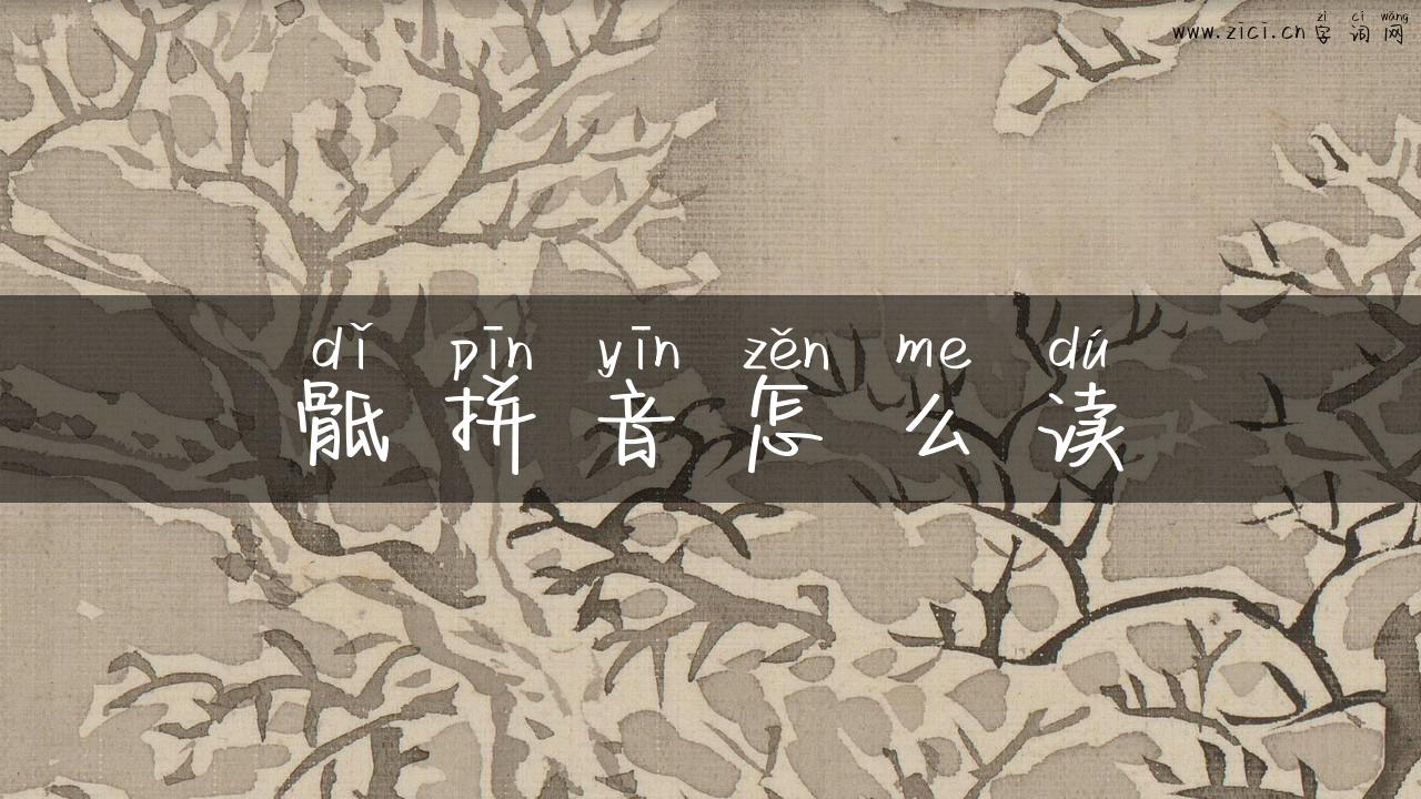 骶拼音怎么读
