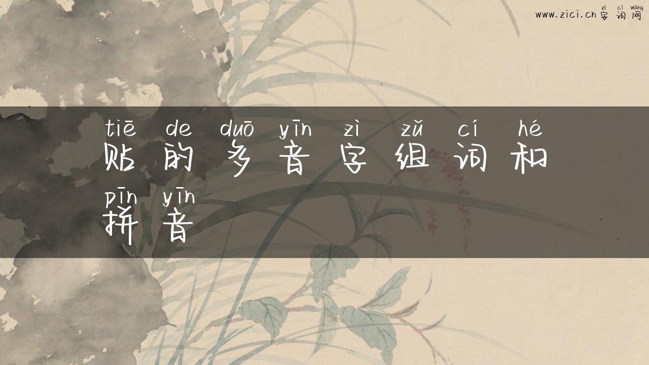 贴的多音字组词和拼音