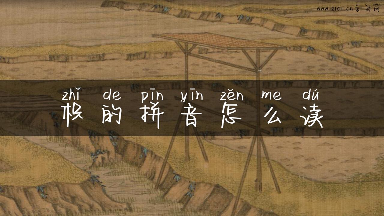 枳的拼音怎么读