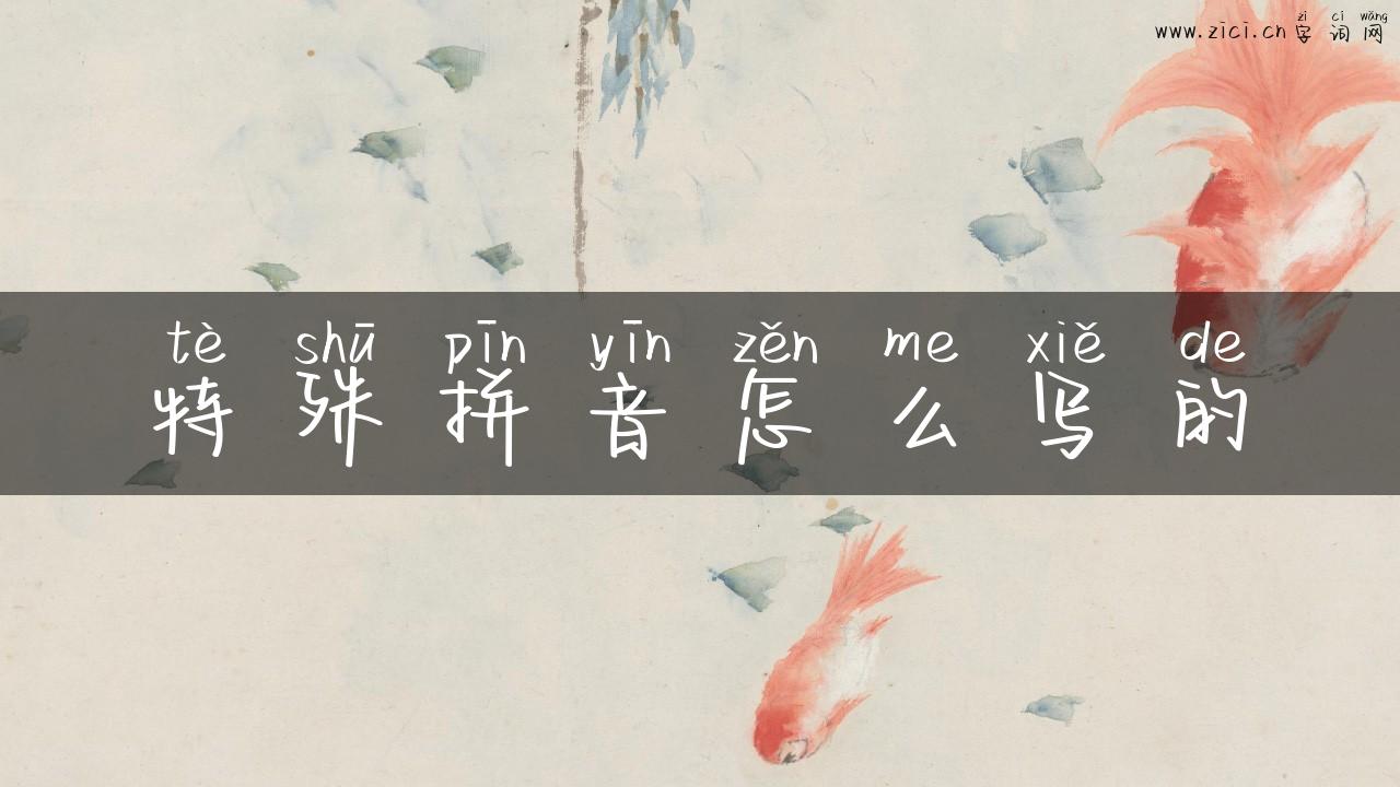 特殊拼音怎么写的