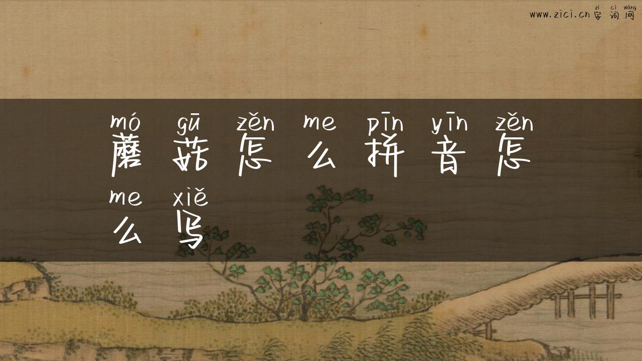 蘑菇怎么拼音怎么写