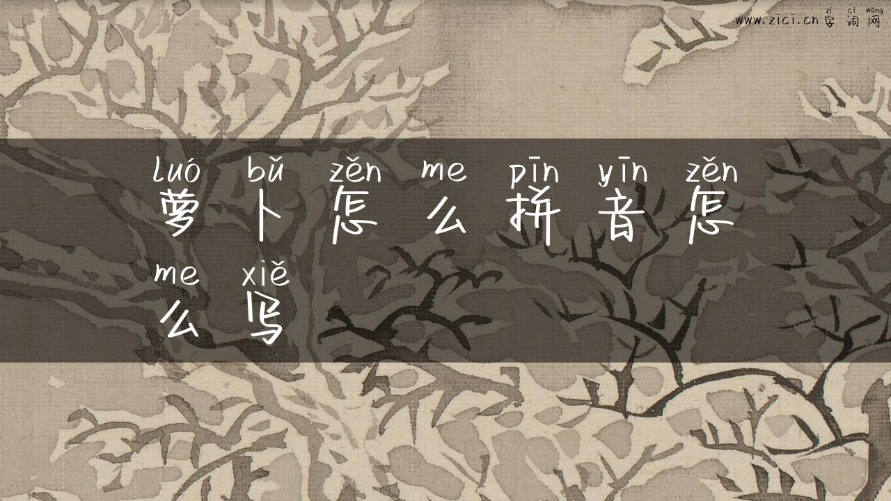 萝卜怎么拼音怎么写