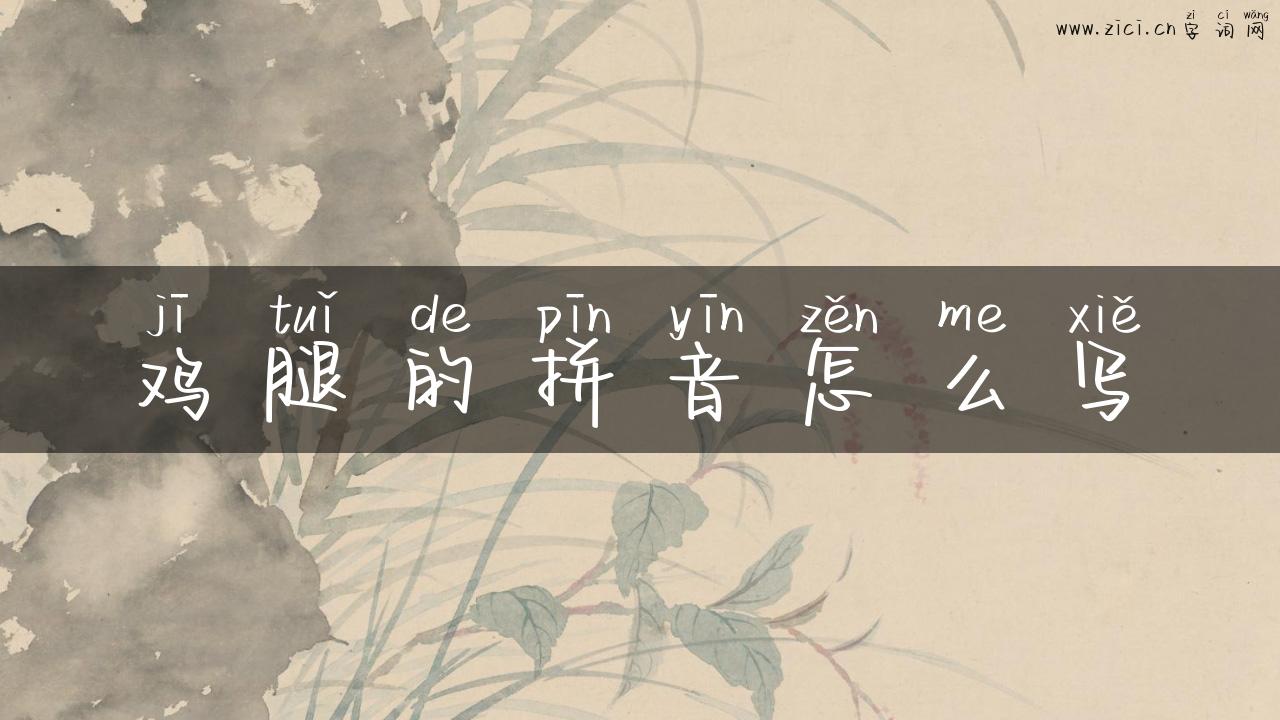 鸡腿的拼音怎么写