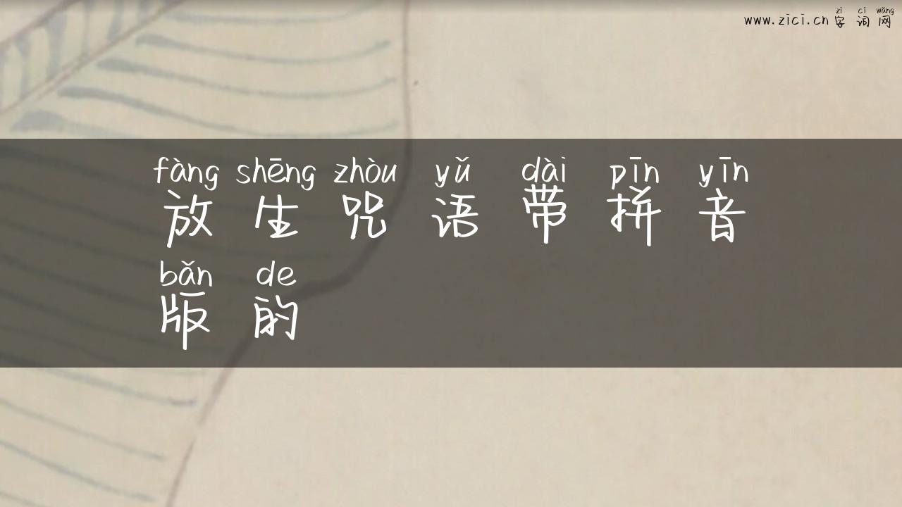 放生咒语带拼音版的