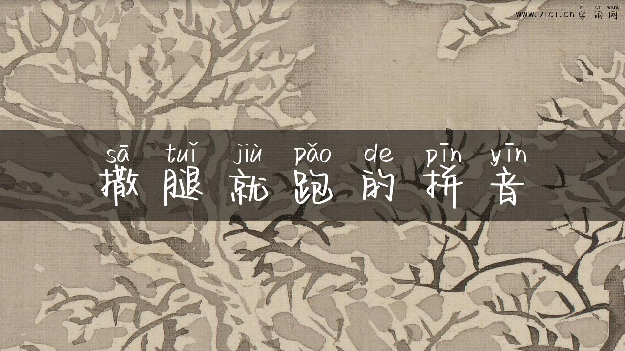 撒腿就跑的拼音
