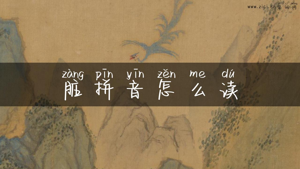 脏拼音怎么读