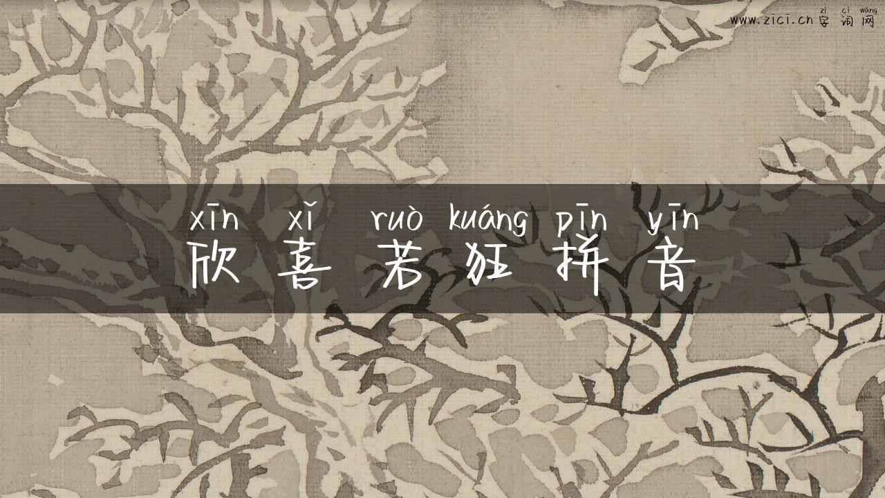 欣喜若狂拼音