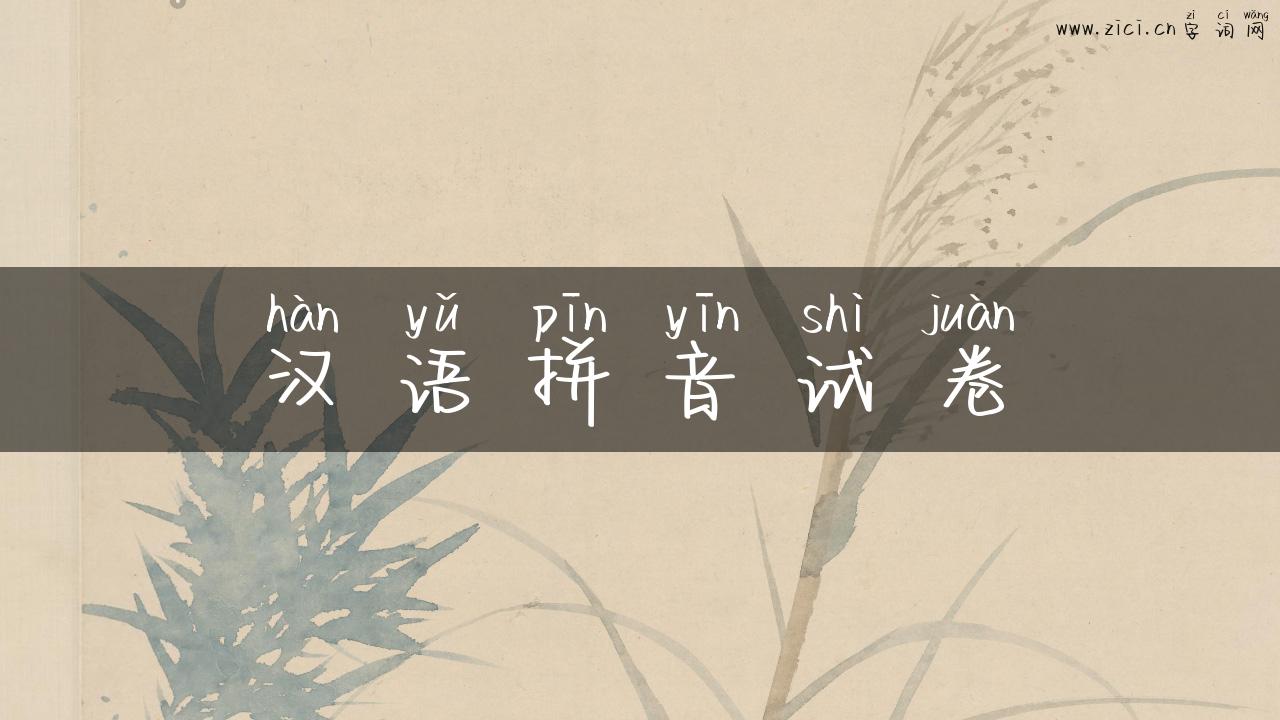 汉语拼音试卷