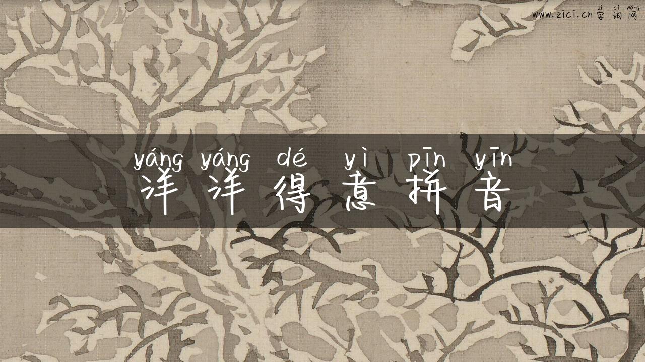 洋洋得意拼音