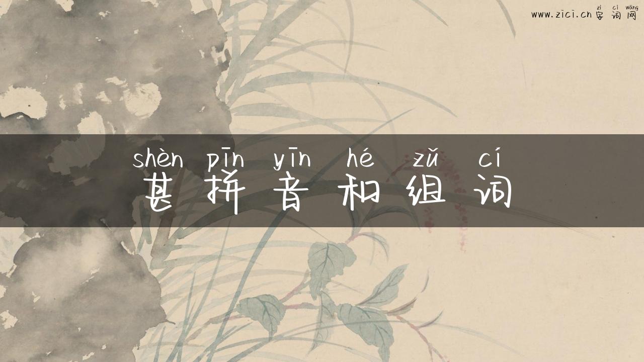 甚拼音和组词