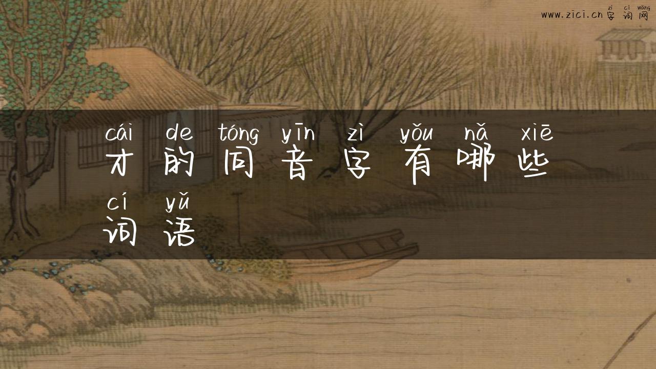 才的同音字有哪些词语