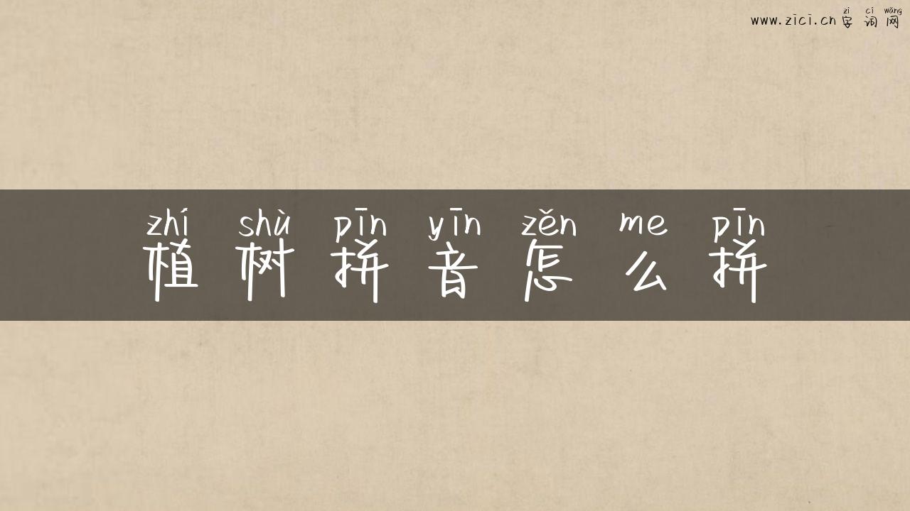 植树拼音怎么拼