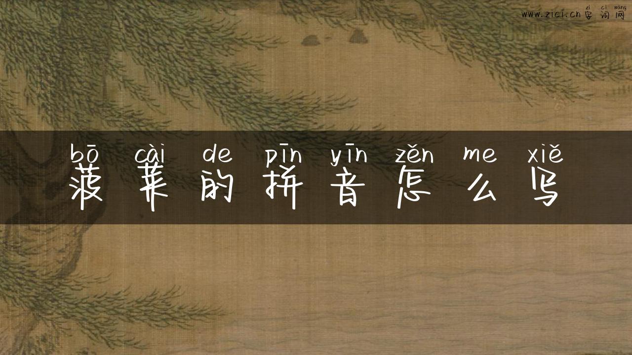 菠菜的拼音怎么写