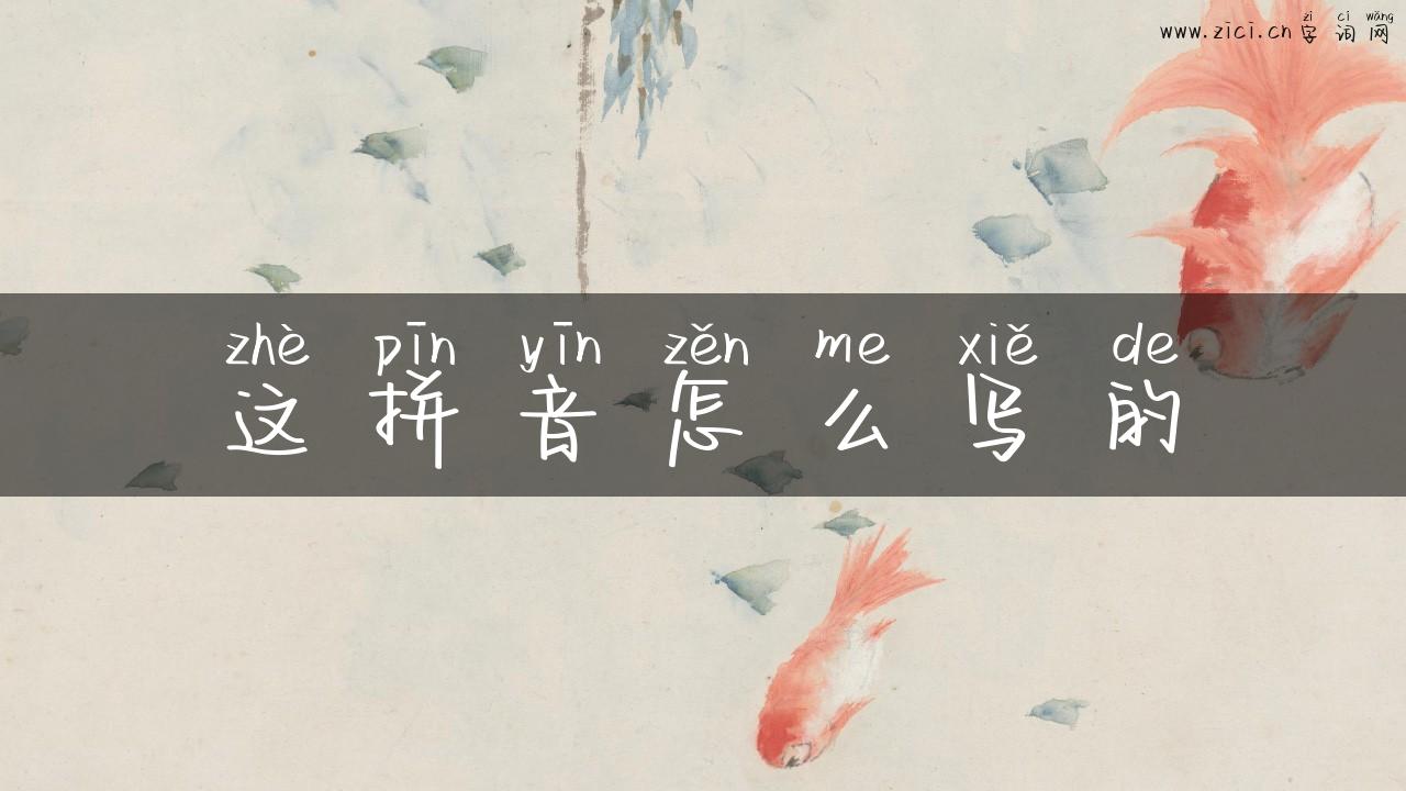 这拼音怎么写的