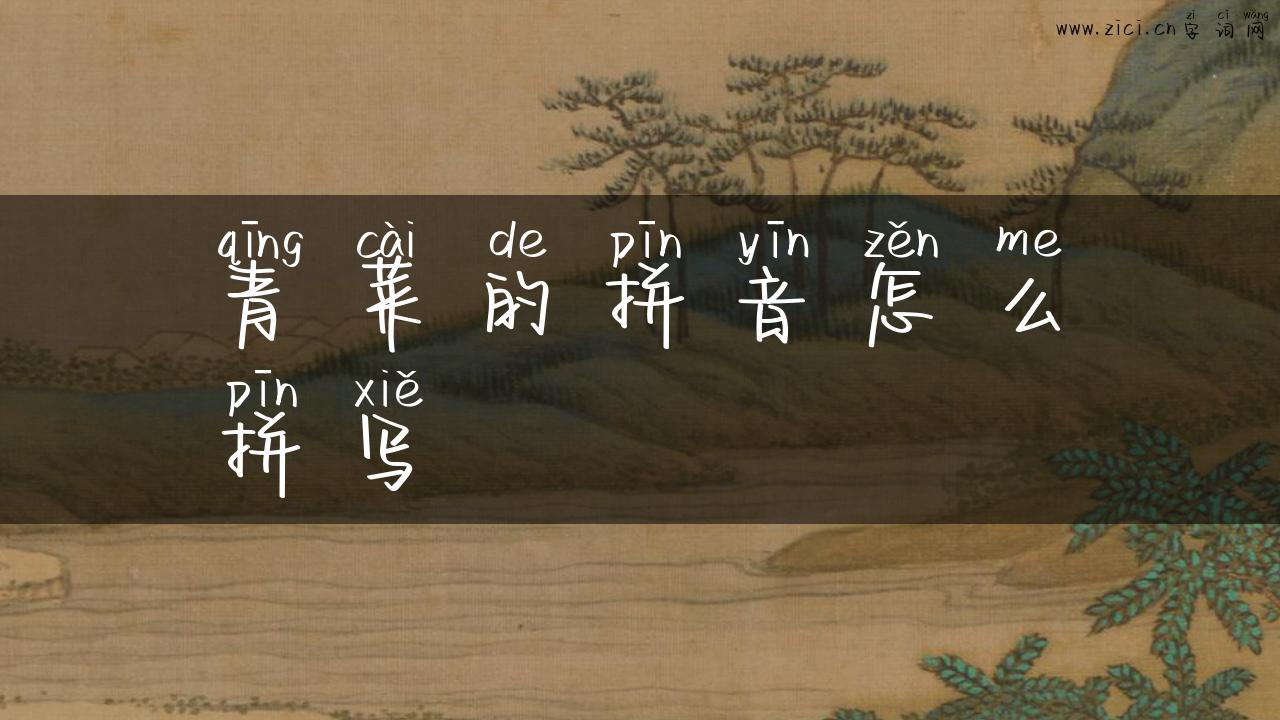 青菜的拼音怎么拼写