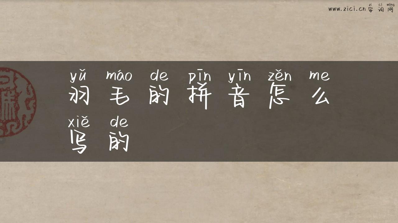 羽毛的拼音怎么写的