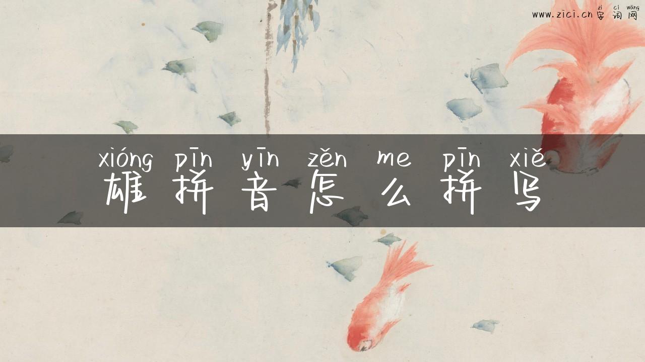 雄拼音怎么拼写