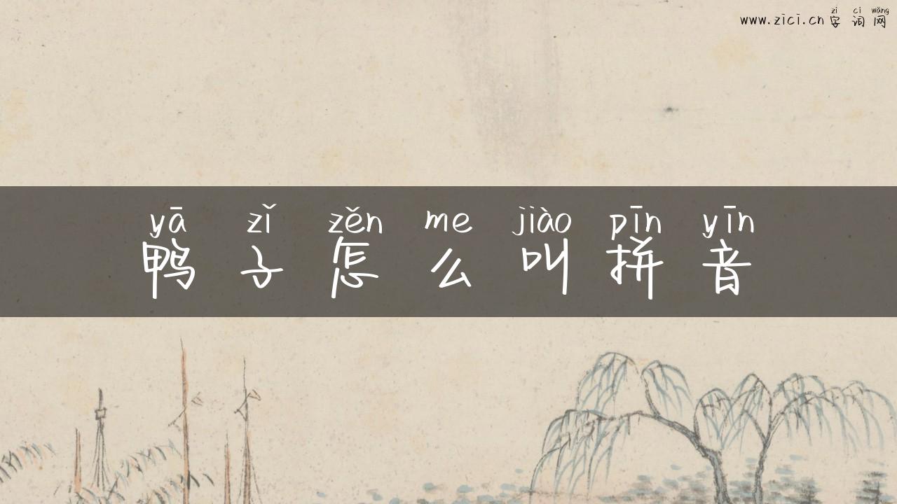 鸭子怎么叫拼音