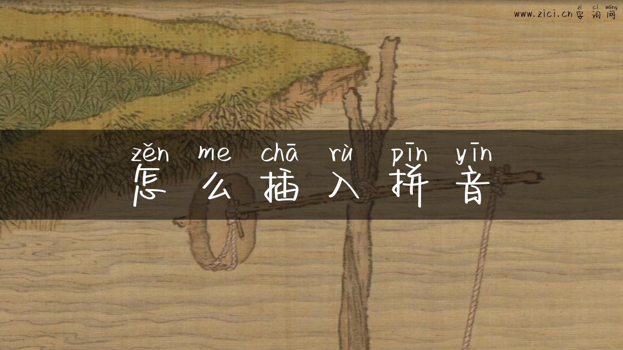 怎么插入拼音