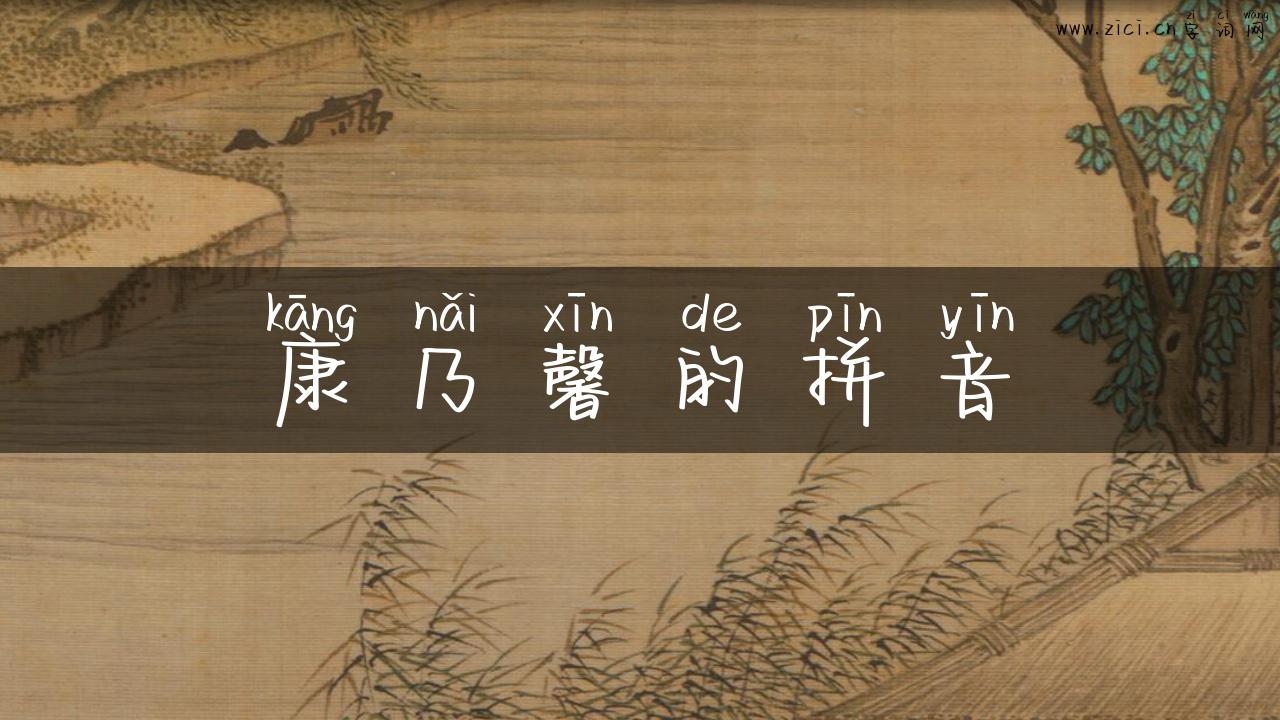 康乃馨的拼音
