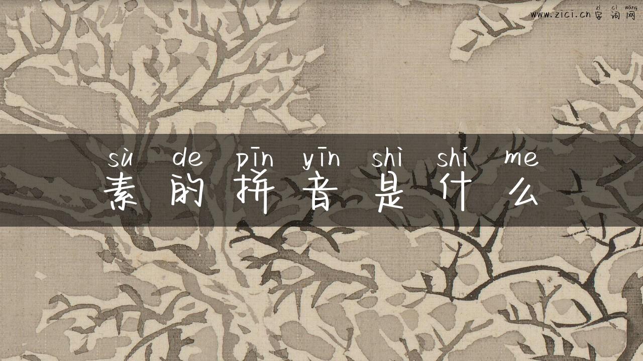 素的拼音是什么
