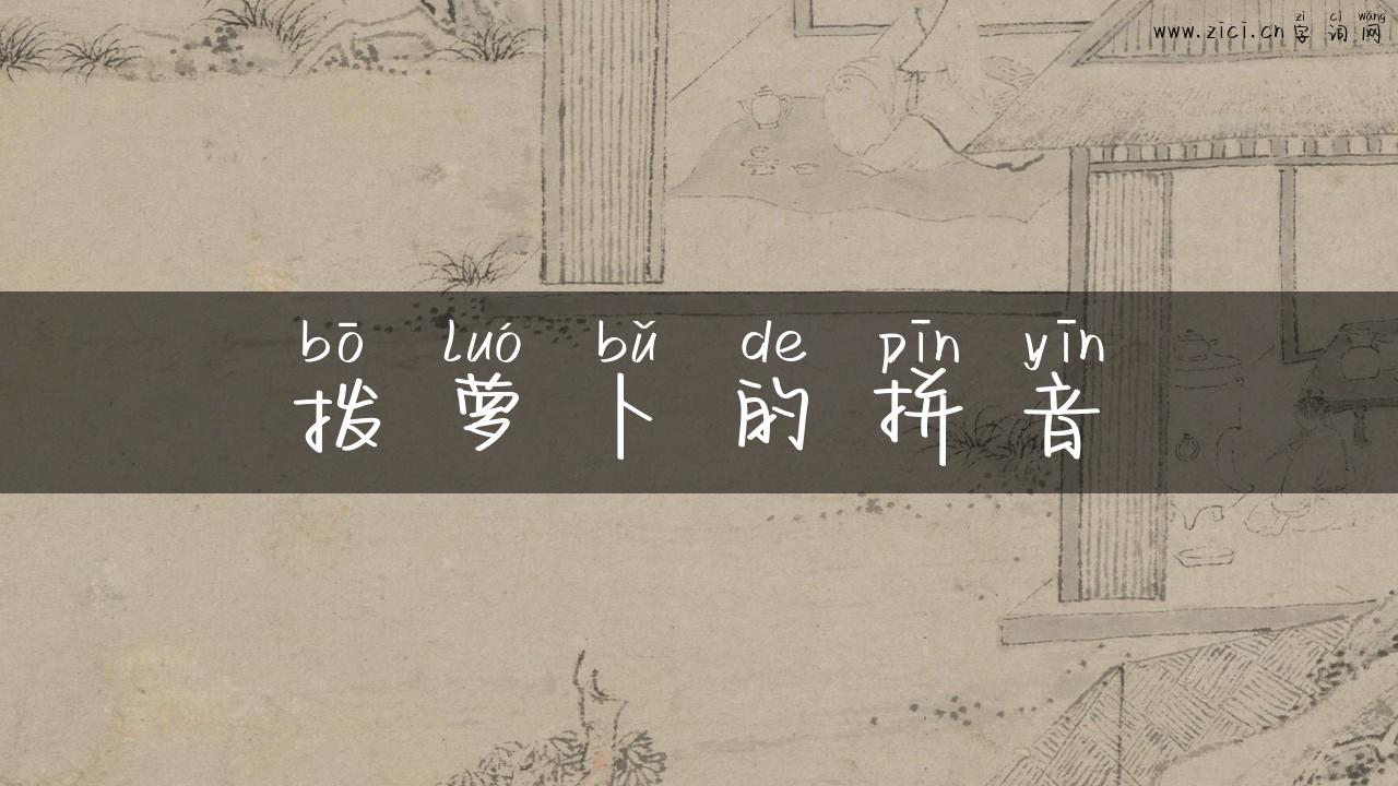 拨萝卜的拼音