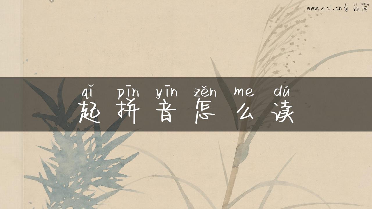 起拼音怎么读