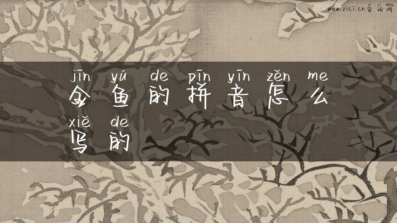 金鱼的拼音怎么写的
