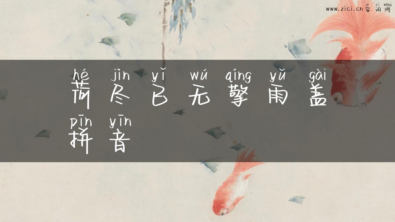 荷尽已无擎雨盖拼音